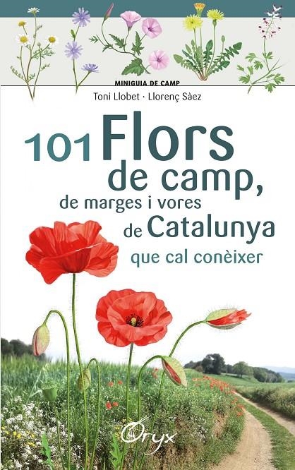 101 flors de camp, de marges i vores de Catalunya | Sàez Goñalons, Llorenç / Llobet François, Toni | Llibreria La Figaflor - Abrera