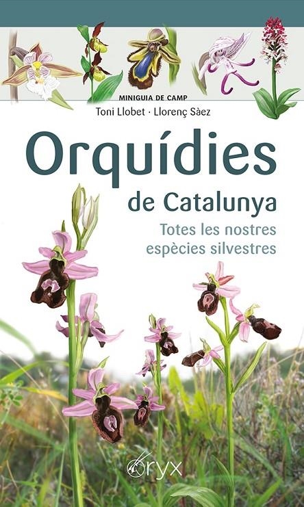 Orquídies de Catalunya | Sàez Goñalons, Llorenç / Llobet François, Toni | Llibreria La Figaflor - Abrera