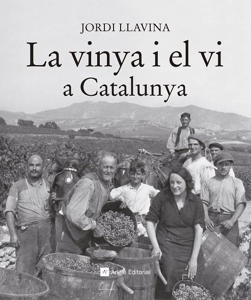 La vinya i el vi a Catalunya | Llavina Murgadas, Jordi | Llibreria La Figaflor - Abrera