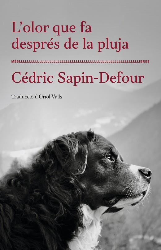 L'olor que fa després de la pluja | Sapin-defour, Cedric | Llibreria La Figaflor - Abrera