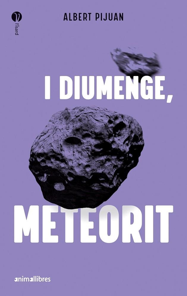 I diumenge, meteorit | ALBERT PIJUAN | Llibreria La Figaflor - Abrera