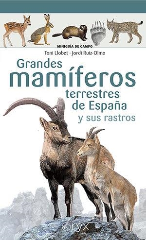 Grandes mamíferos terrestres de España y sus rastros | Llobet François, Toni / Ruiz-Olmo , Jordi | Llibreria La Figaflor - Abrera