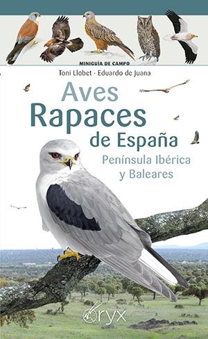 Aves rapaces de España, Península Ibérica y Baleares | Llobet, Toni / de Juana, Eduardo | Llibreria La Figaflor - Abrera