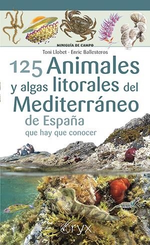 125 Animales y algas litorales del Mediterráneo de España que hay que conocer | Llobet, Toni / Ballesteros, Enric | Llibreria La Figaflor - Abrera