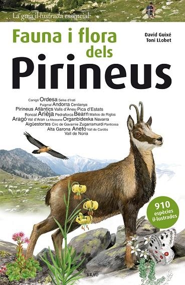 Fauna i flora dels Pirineus | Guixé Coromines, David | Llibreria La Figaflor - Abrera