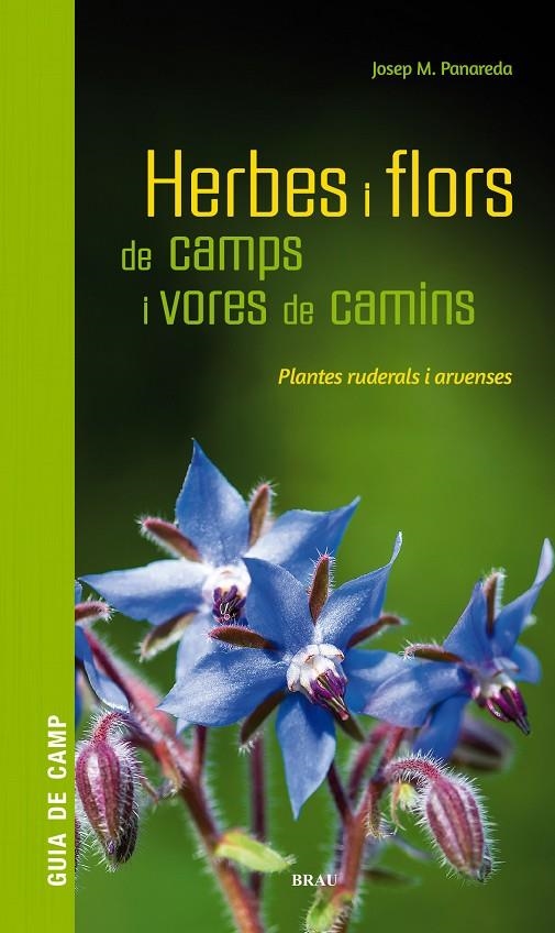 Herbes i flors de camps i vores de camins | Panareda Clopés, Josep M | Llibreria La Figaflor - Abrera