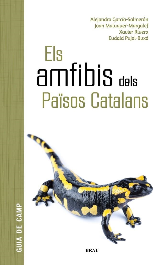 Els amfibis dels Països Catalans | García Salmerón, Alejandro / Maluquer Margalef, Joan / Rivera Mula, Xavier / Pujol Buxó, Eudald | Llibreria La Figaflor - Abrera