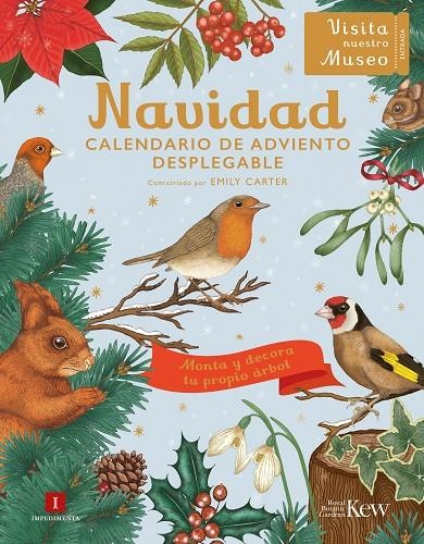 Navidad | Carter, Emily | Llibreria La Figaflor - Abrera