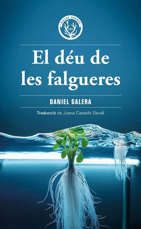 El déu de les falgueres | Galera, Daniel | Llibreria La Figaflor - Abrera