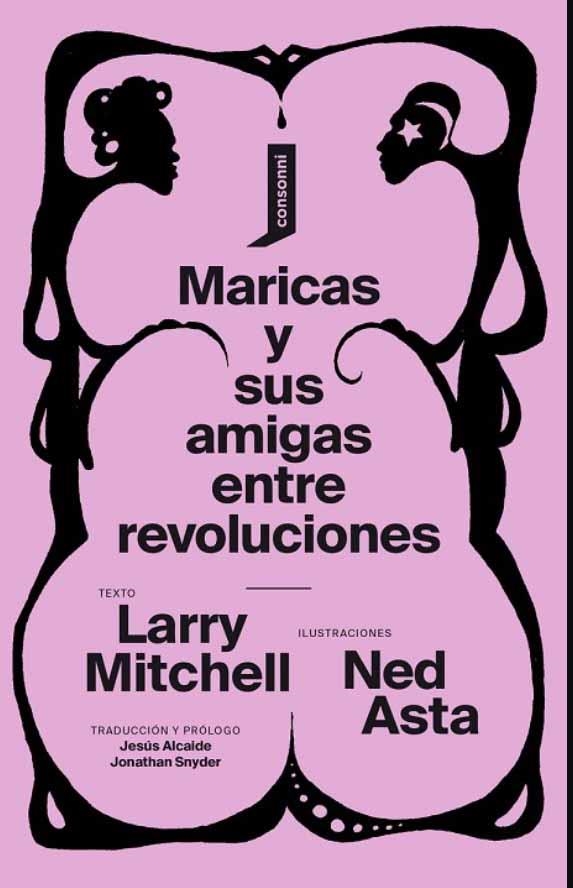 Maricas y sus amigas entre revoluciones | Mitchell, Larry | Llibreria La Figaflor - Abrera