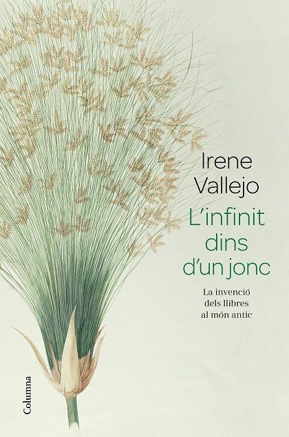 L'infinit dins d'un jonc | Vallejo, Irene | Llibreria La Figaflor - Abrera