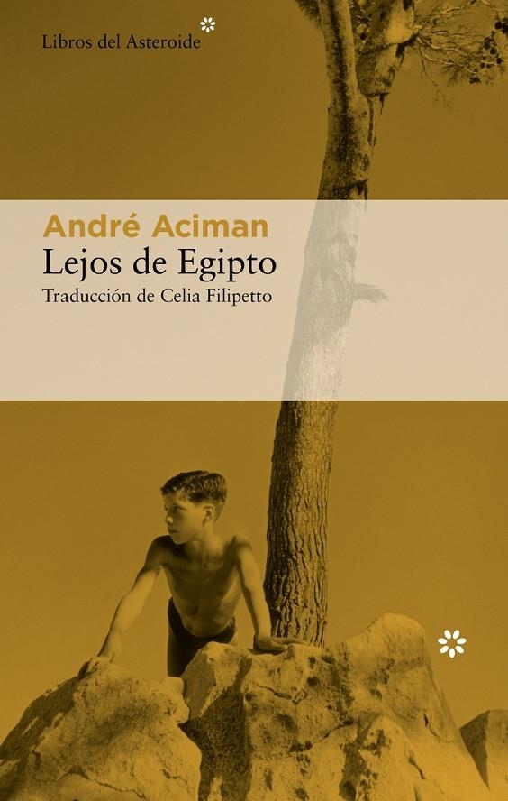 Lejos de Egipto | Aciman, André | Llibreria La Figaflor - Abrera