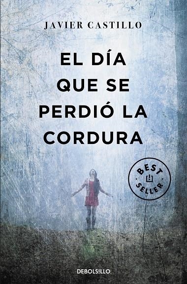 El día que se perdió la cordura | Castillo, Javier | Llibreria La Figaflor - Abrera