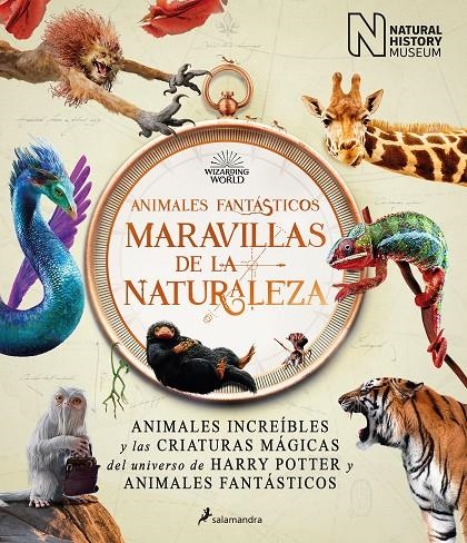 Animales fantásticos: maravillas de la naturaleza | The National History Museum, | Llibreria La Figaflor - Abrera