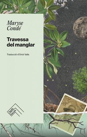 TRAVESSA DEL MANGLAR | CONDÉ, MARYSE | Llibreria La Figaflor - Abrera