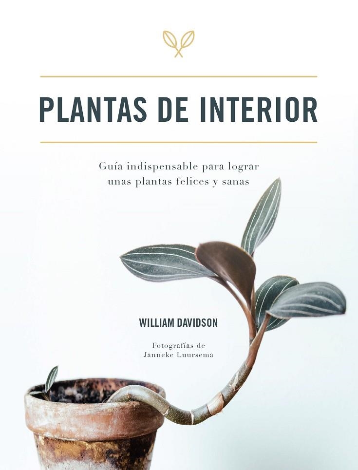 Plantas de interior | Davidson, William | Llibreria La Figaflor - Abrera