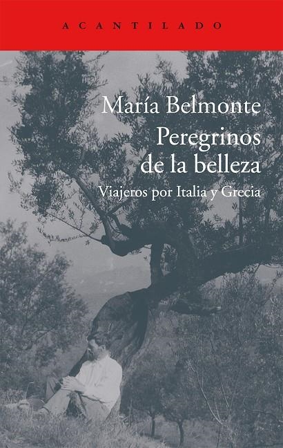 Peregrinos de la belleza | Belmonte Barrenechea, María | Llibreria La Figaflor - Abrera