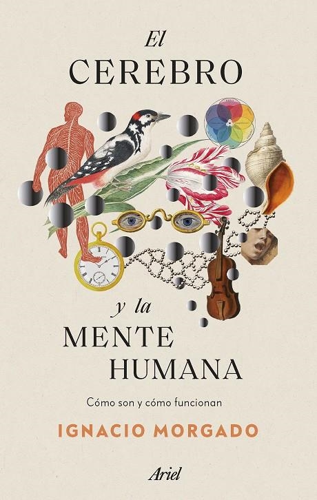 El cerebro y la mente humana | Morgado, Ignacio | Llibreria La Figaflor - Abrera